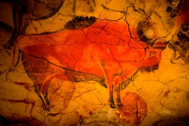 Pittura di bisonti nelle grotte di Altamira, museo del Paleolitico Superiore, Santander, Cantabria, Spagna